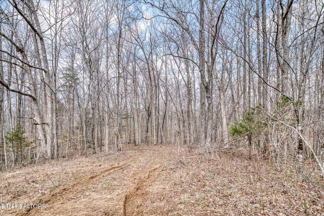 649 Garrett Town Ln, Home with 0 bedrooms, 0 bathrooms and null parking in Monroe TN | Image 7