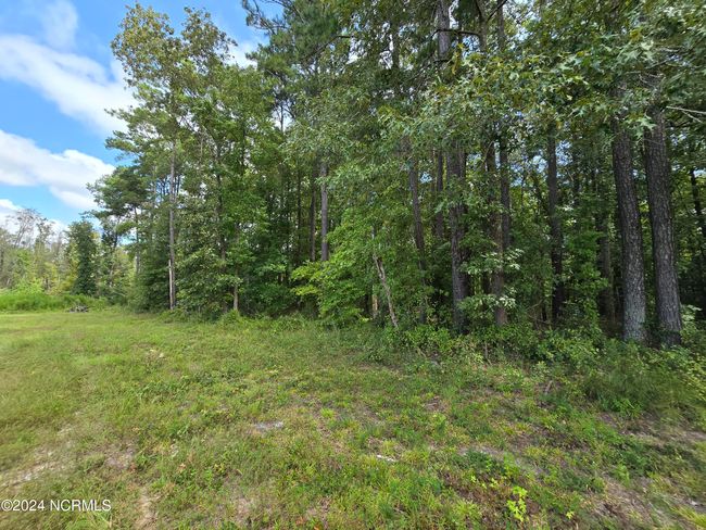 0 Mcnair Rd, Home with 0 bedrooms, 0 bathrooms and null parking in Plymouth NC | Image 15