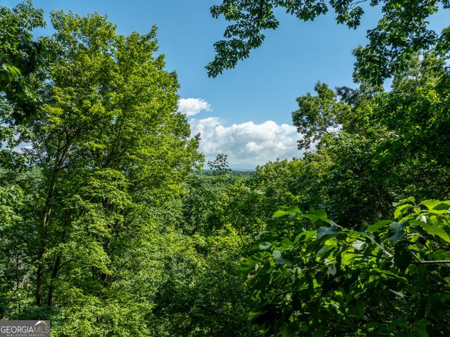 3.65AC Emory Stephens Rd, Home with 0 bedrooms, 0 bathrooms and null parking in Murrayville GA | Image 5