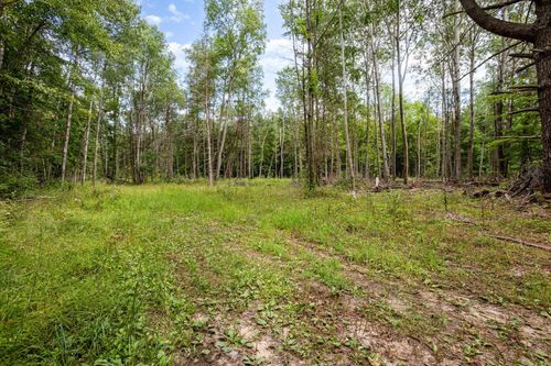 TBD Klees Rd, Crystal, MI, 48818 | Card Image