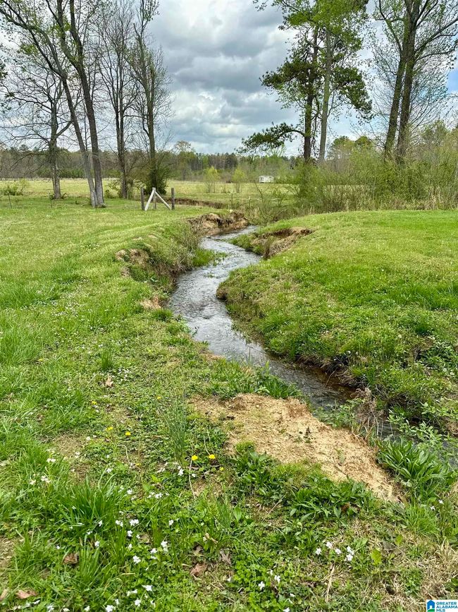 12325 Us Highway 411 N, House other with 3 bedrooms, 3 bathrooms and null parking in Centre AL | Image 34