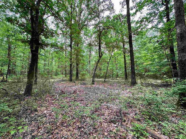 000 Oak Dale Rd, Home with 0 bedrooms, 0 bathrooms and null parking in Lonoke AR | Image 20