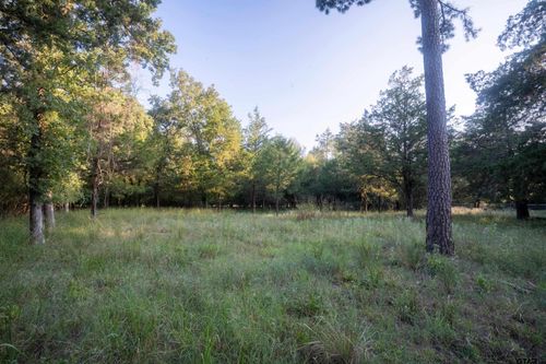 Lots 2, 3, 47, 48 Kings Country Blvd, Scroggins, TX, 75480 | Card Image