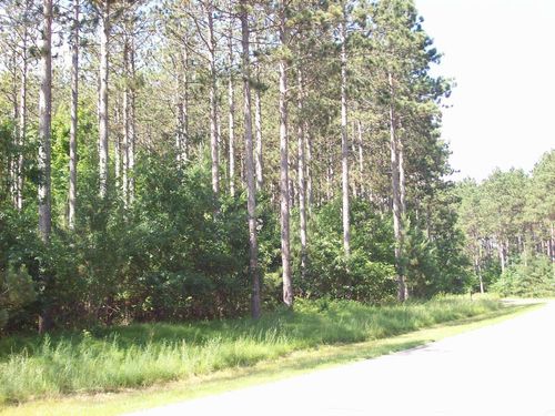 Corner of 7th Porter Road, ARMENIA, WI, 54457 | Card Image