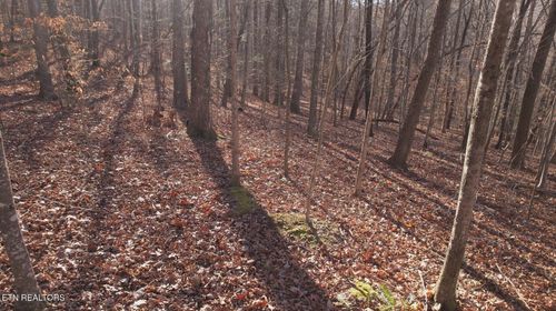 0 Hiwassee View Dr, Jacksboro, TN, 37757 | Card Image