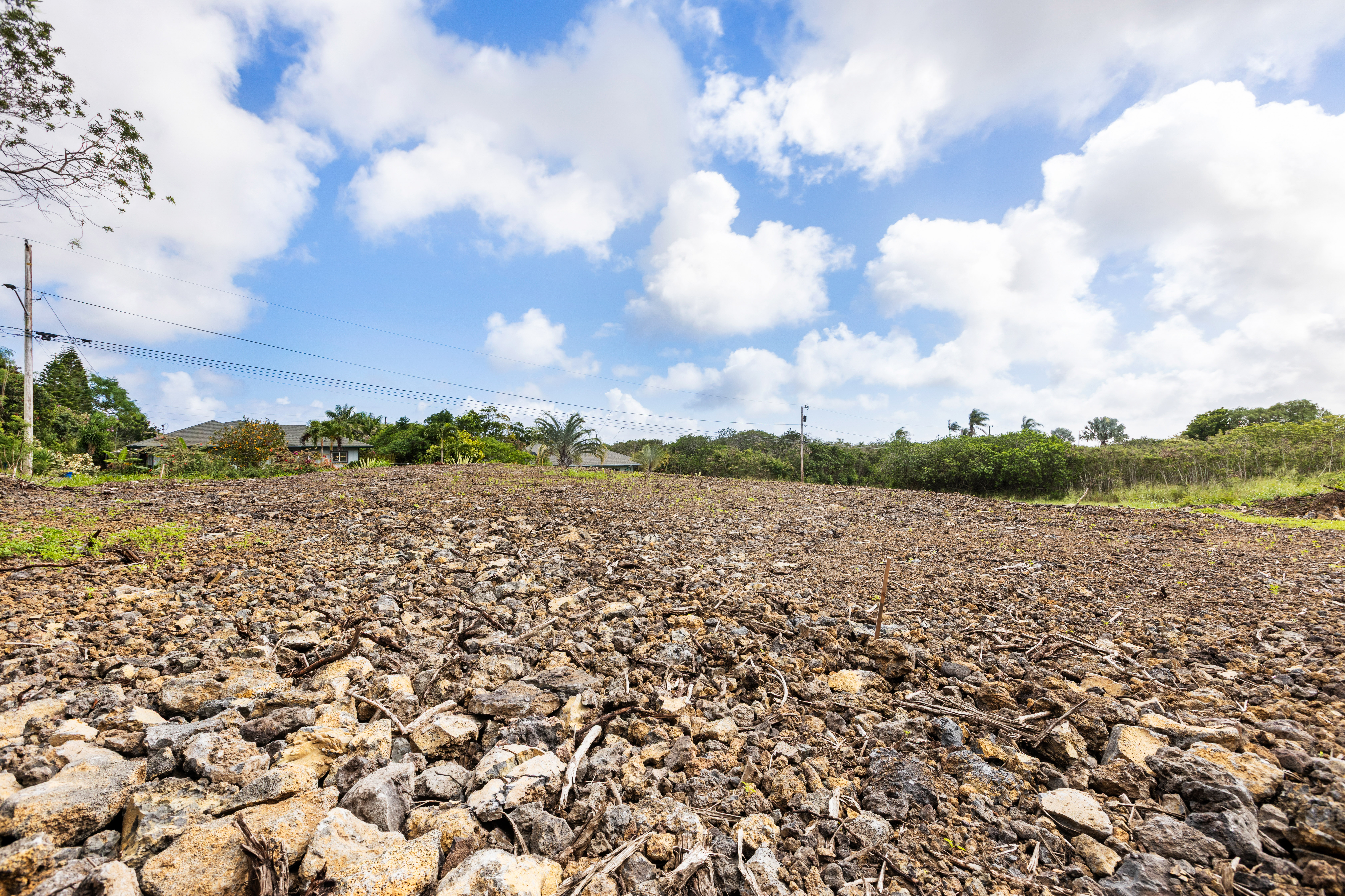 Land in Naalehu 5