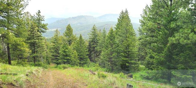 0 Lot 2 Old Kettle Falls Rd, Home with 0 bedrooms, 0 bathrooms and null parking in Republic WA | Image 8