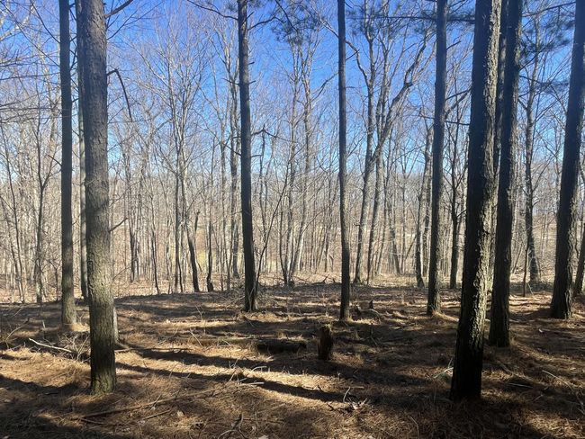 80 High Point Ln, Home with 0 bedrooms, 0 bathrooms and null parking in Jasper TN | Image 128