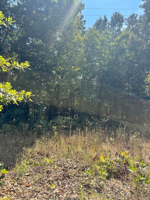 Tbd Pp Hwy, Collins, MO, 64738 | Card Image