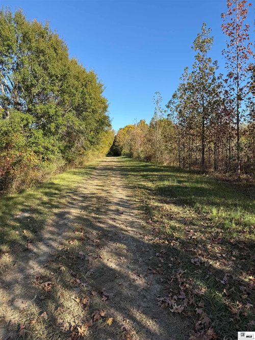 000 Thomas Rd, Rayville, LA, 71269 | Card Image