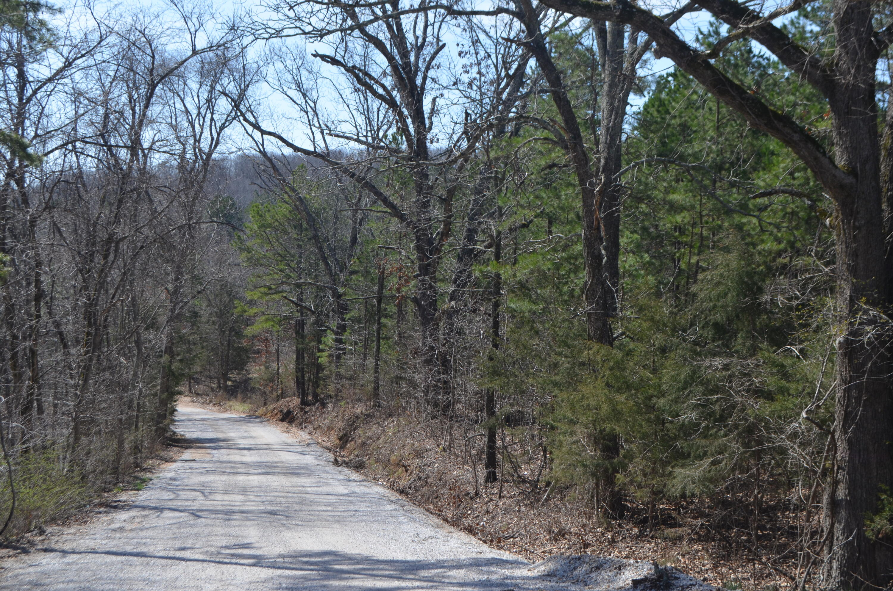 135 Alpine Road, For Sale in Forsyth Zoocasa