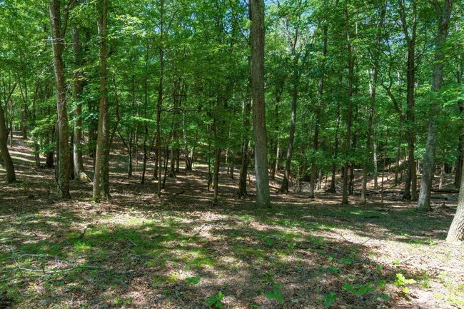 58501 Us Highway 50, Home with 0 bedrooms, 0 bathrooms and null parking in Mc Arthur OH | Image 61