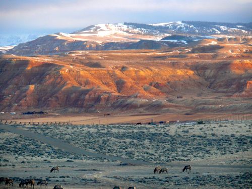 Lot 4 Flying Frog Ln, Dubois, WY, 82513-8916 | Card Image