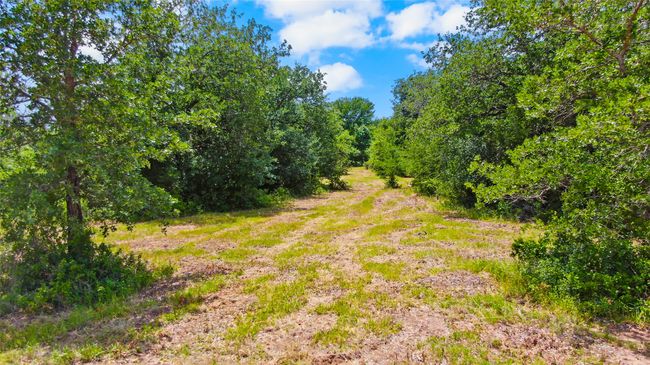 4008 Luciano Dr, Home with 0 bedrooms, 0 bathrooms and null parking in Brock TX | Image 13