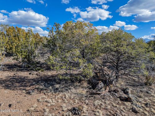 804 E Bighorn Trl, Williams, AZ, 86046 | Card Image