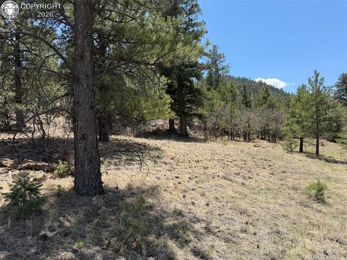 477 Bear Peak Rd, Westcliffe, CO, 81252-9507 | Card Image
