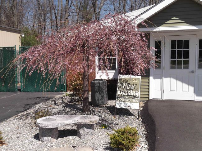 APT-189 - 96 Powers St, Condo with 2 bedrooms, 1 bathrooms and null parking in Milford NH | Image 17