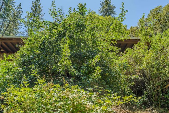 16000 Sutter Creek Rd, House other with 3 bedrooms, 2 bathrooms and null parking in Sutter Creek CA | Image 51