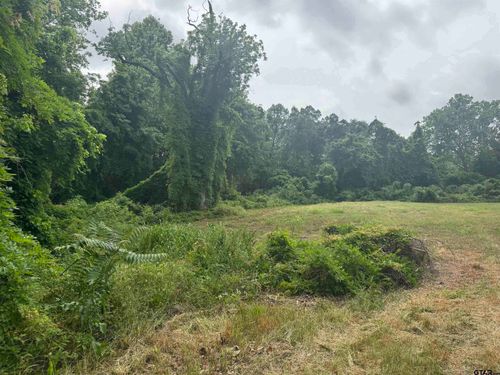 510 W Martin Luther King Jr Blvd, Tyler, TX, 75702 | Card Image