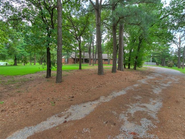 View of yard featuring view of wooded area | Image 5
