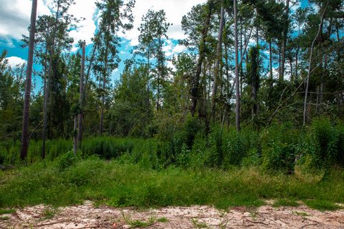 Lot 1 Furey Dr, Clarks Hill, SC, 29821 | Card Image