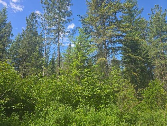 3418 Kingsbury Lake Way, Home with 0 bedrooms, 0 bathrooms and null parking in Kettle Falls WA | Image 5