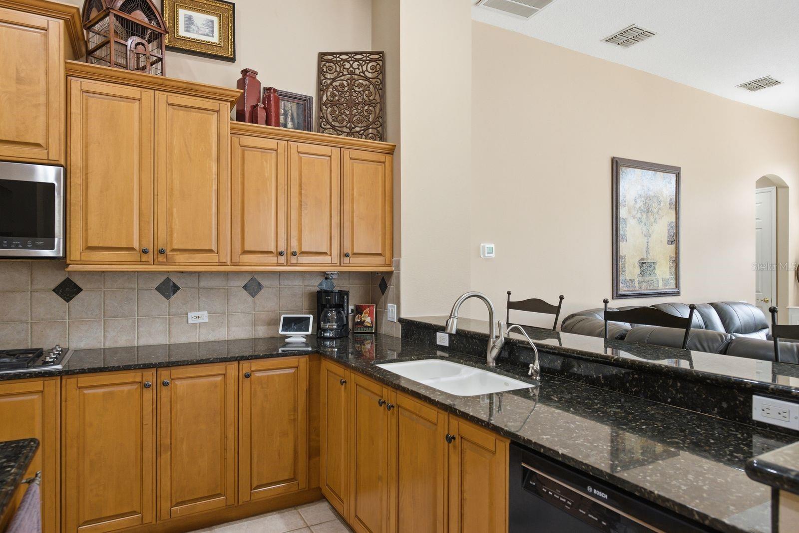 Residential in PALM HARBOR 5