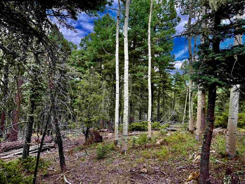 Lot 275 Vermejo Circle, Angel Fire, NM, 87710 | Card Image