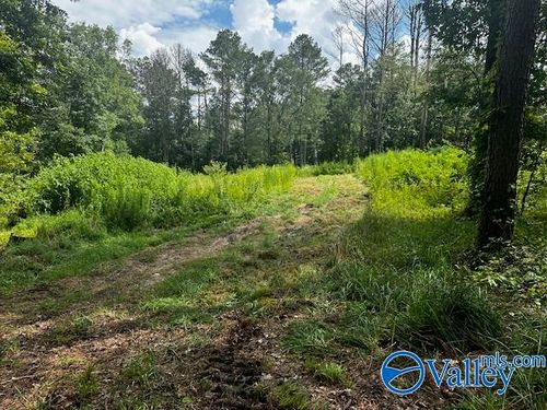 128 Savannah Cir, Cherokee Ridge, AL, 35175-7824 | Card Image