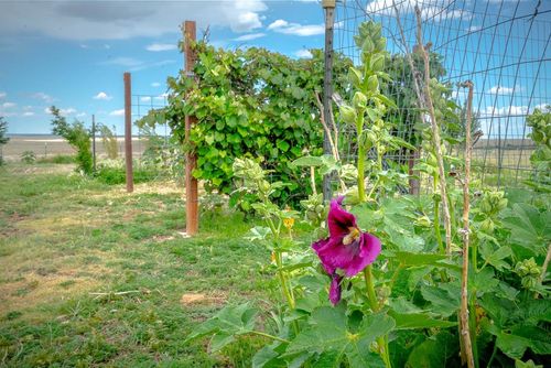 107 Bullard, Gladstone, NM, 88422-7505 | Card Image