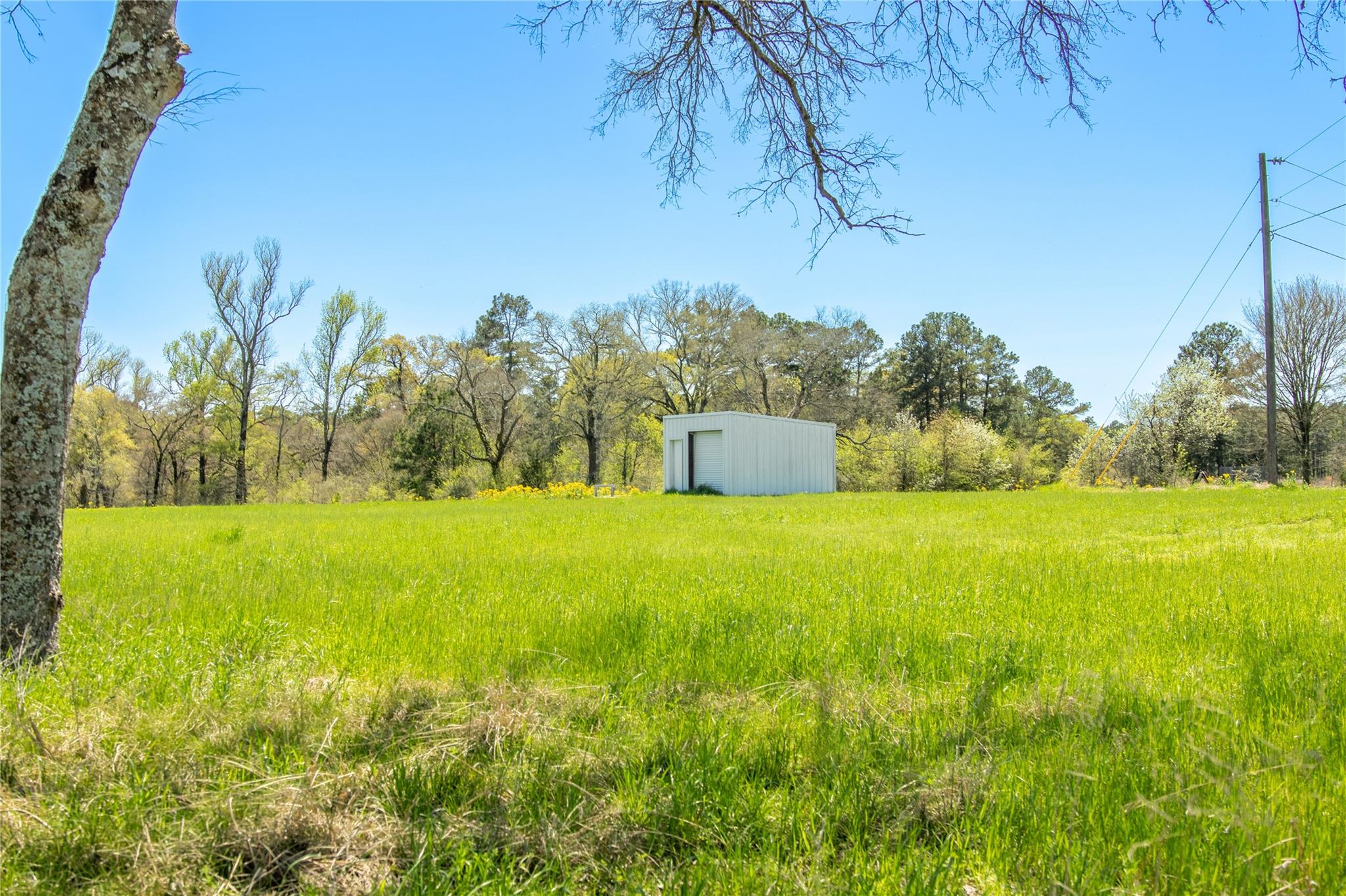 Farm in Huntsville 5