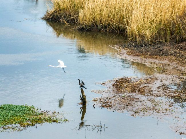 Property view of water | Image 31