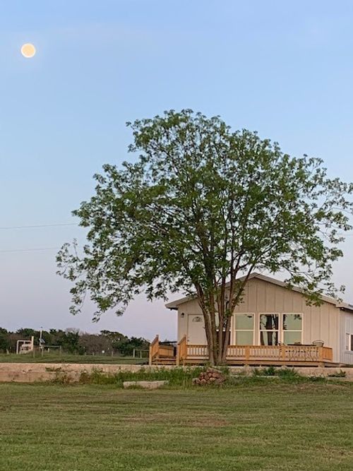 115 Private Road Lane, Donie, TX, 75838 | Card Image