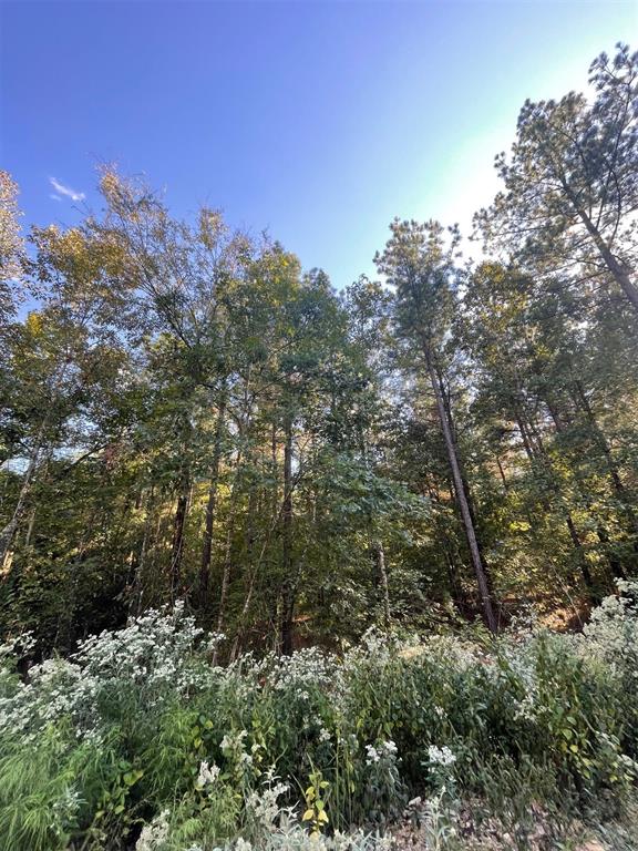 Land in Broken Bow 3