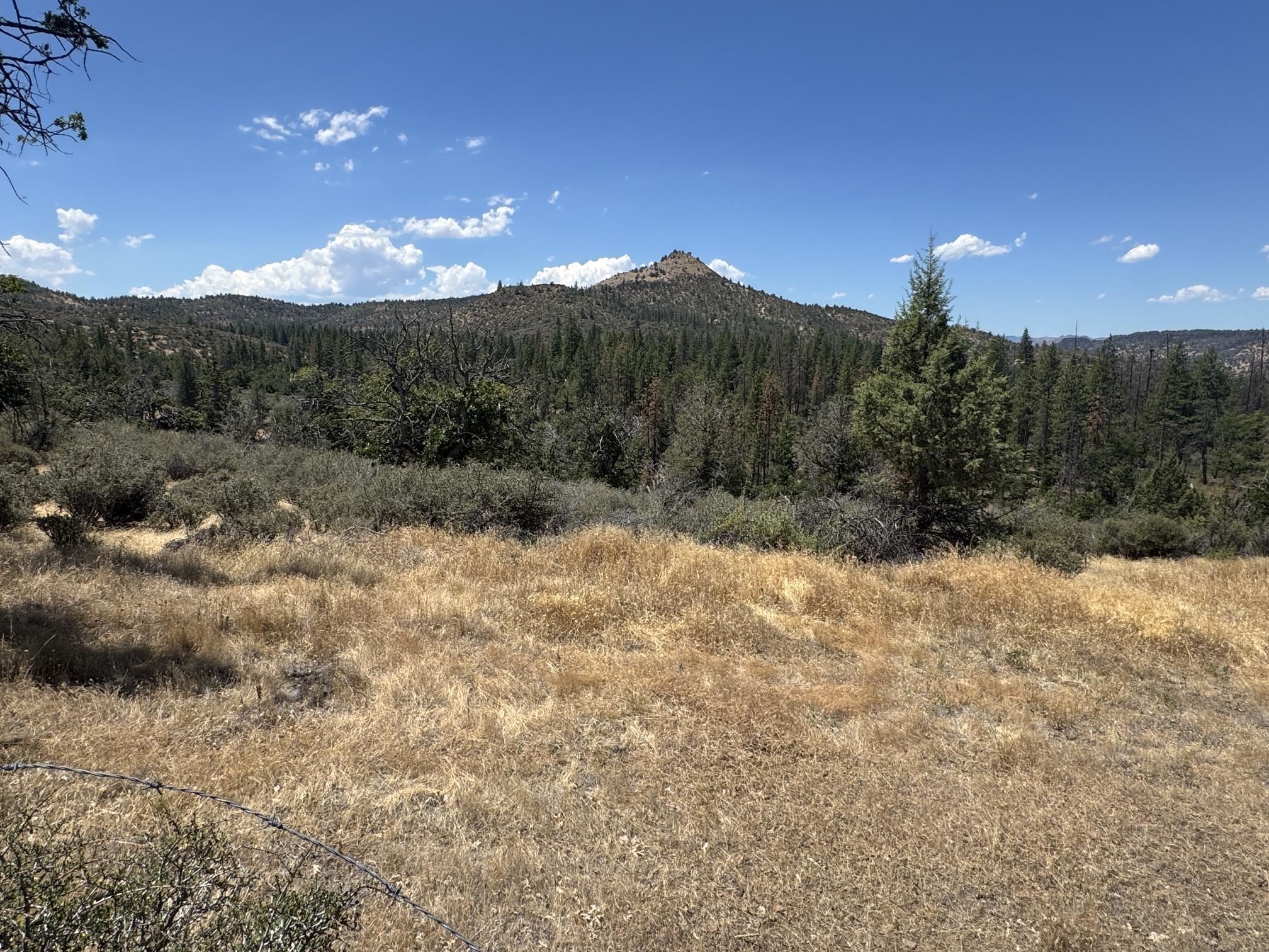 Land in Montague 3