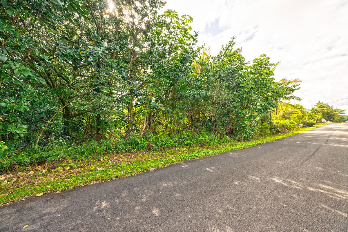 Land in Keaau 2