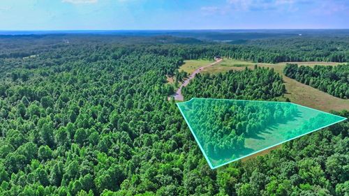 0 Freedom Ridge, Indian Mound, TN, 37079 | Card Image