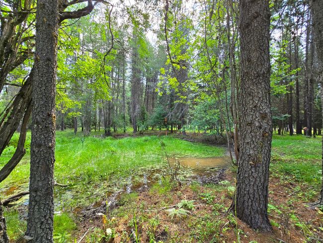 22 Pinewoods Dr, House other with 2 bedrooms, 2 bathrooms and null parking in Trout Creek MT | Image 58