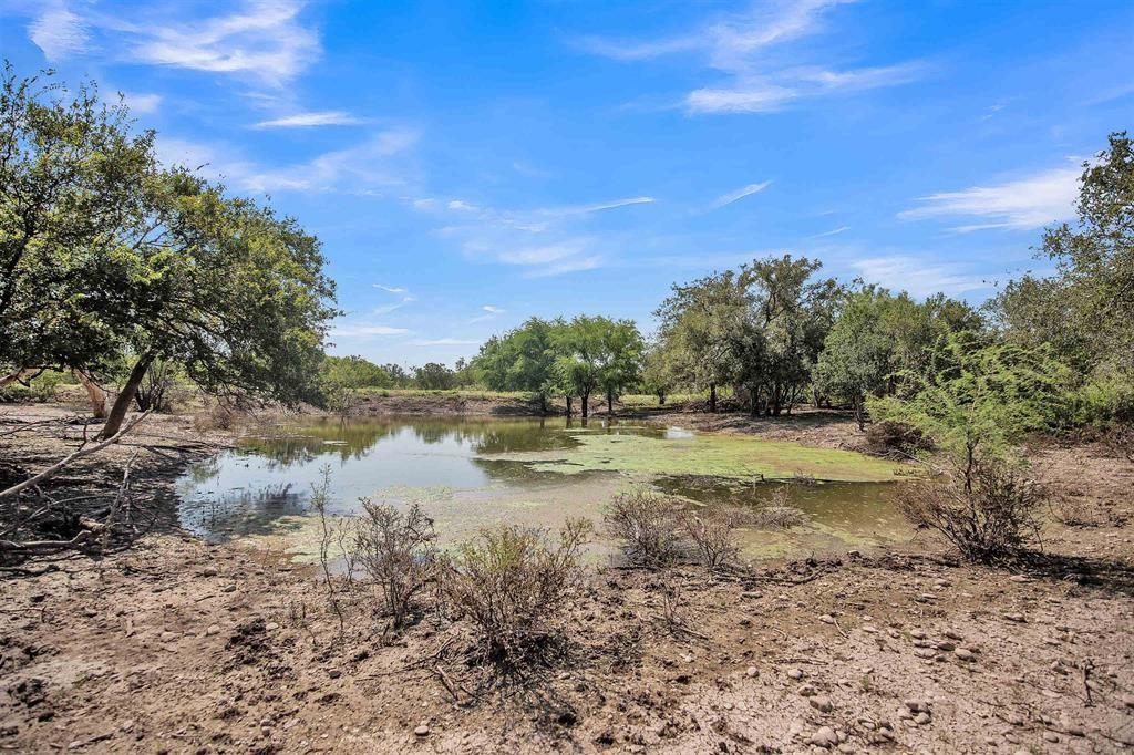 Land in Del Rio 5