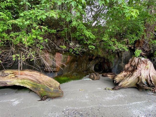 608 Tumbo Channel Rd, Home with 0 bedrooms, 0 bathrooms and 6 parking in Saturna Island BC | Image 15