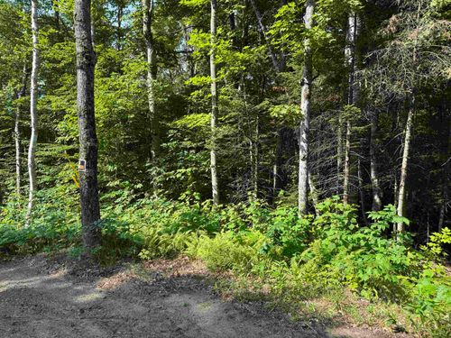 0 N Groton Rd, Hebron, NH, 03241 | Card Image