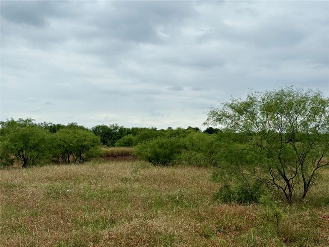 0000 Turtle Hole Rd, Home with 0 bedrooms, 0 bathrooms and null parking in Graham TX | Image 24