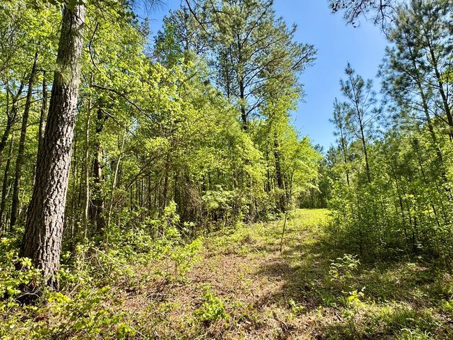0 Ga Highway 87, Home with 0 bedrooms, 0 bathrooms and null parking in Juliette GA | Image 30