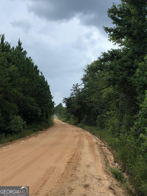 0 Old Milan Rd, Rhine, GA, 31077 | Card Image