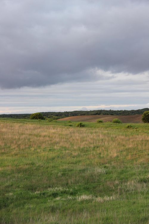 TBD Norwegian Rd, Vining, MN, 56588 | Card Image