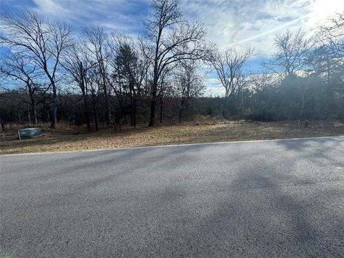 Lot 37 Dove Canyon Dr, Gordonville, TX, 76245-2963 | Card Image