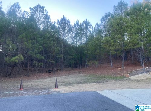 15a-495 Scenic View Ln, BIRMINGHAM, AL, 35244-4011 | Card Image