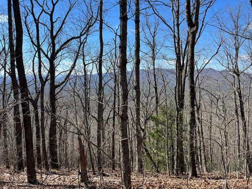 TBD Treehouse Trl, Murphy, NC, 28906 | Card Image