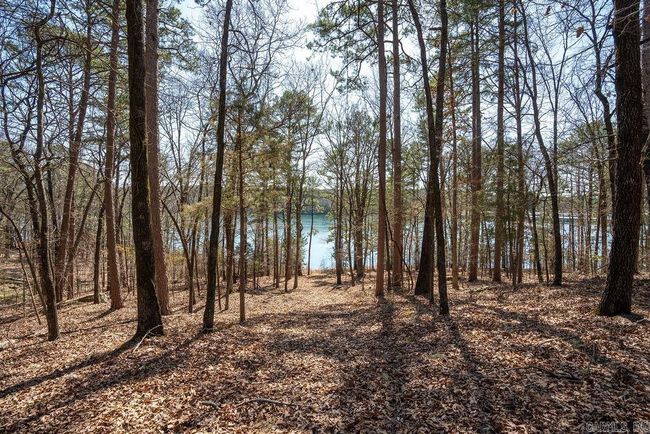 277 Highland, House other with 3 bedrooms, 2 bathrooms and null parking in Tumbling Shoals AR | Image 19