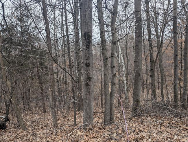 View out the back | Image 42